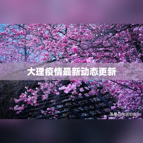 大理疫情最新动态更新
