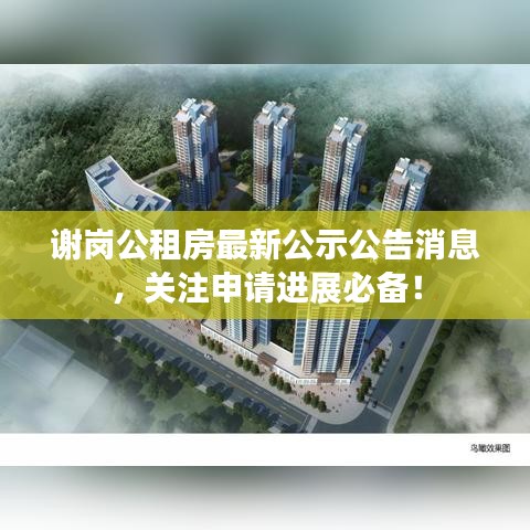 眼空四海