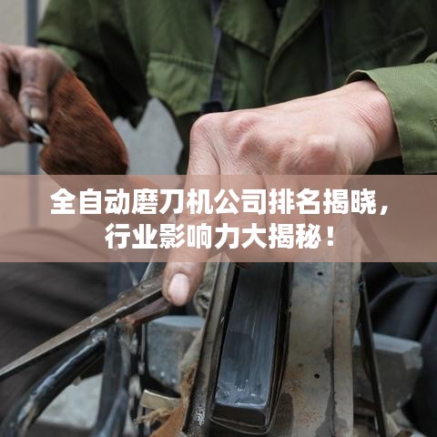 全自动磨刀机公司排名揭晓，行业影响力大揭秘！