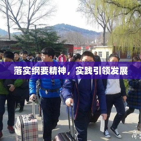 落实纲要精神，实践引领发展
