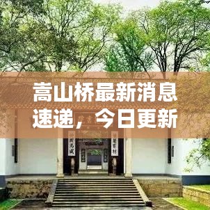 嵩山桥最新消息速递，今日更新动态一网打尽
