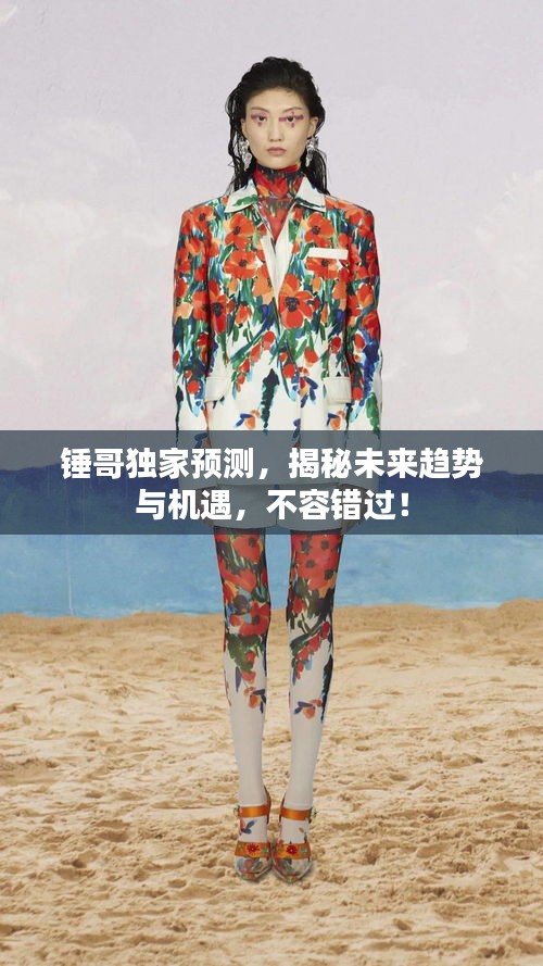 锤哥独家预测，揭秘未来趋势与机遇，不容错过！