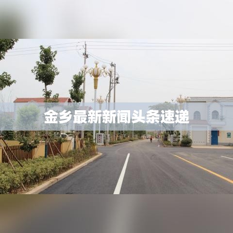 朴素无华