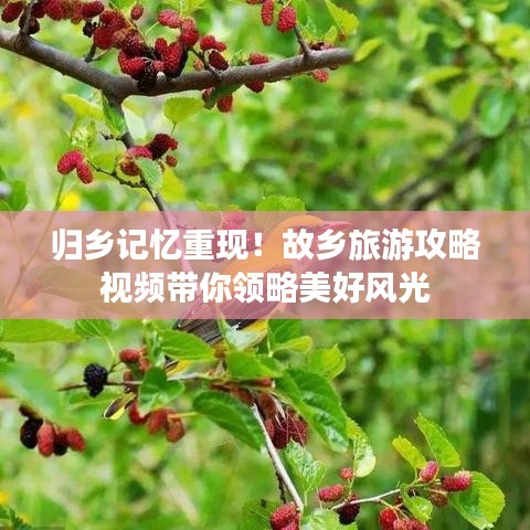 联系方式 第10页
