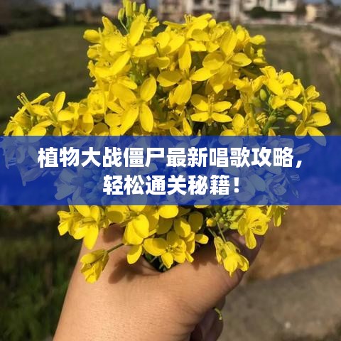 植物大战僵尸最新唱歌攻略，轻松通关秘籍！