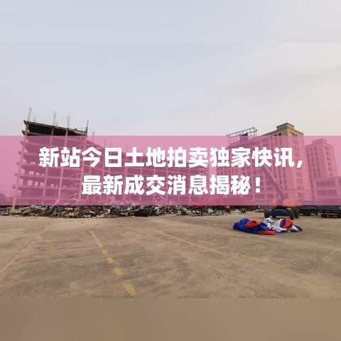 新站今日土地拍卖独家快讯，最新成交消息揭秘！