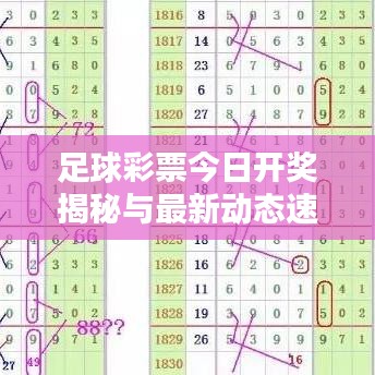 淡妆浓抹