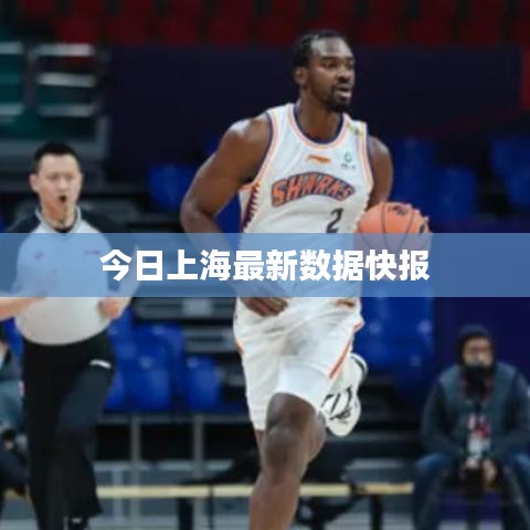 囫囵吞枣