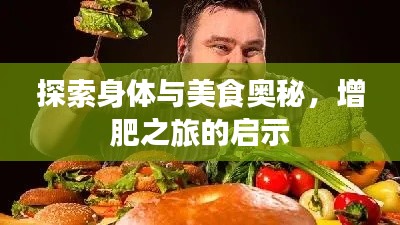 飞龙在天