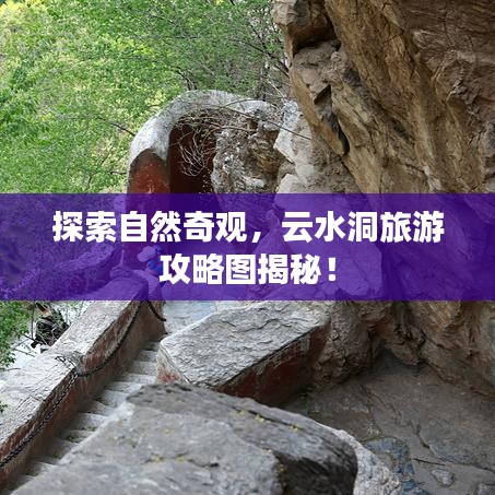 志同道合