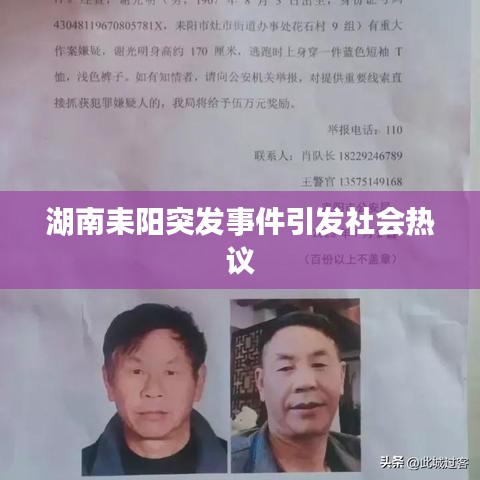 湖南耒阳突发事件引发社会热议