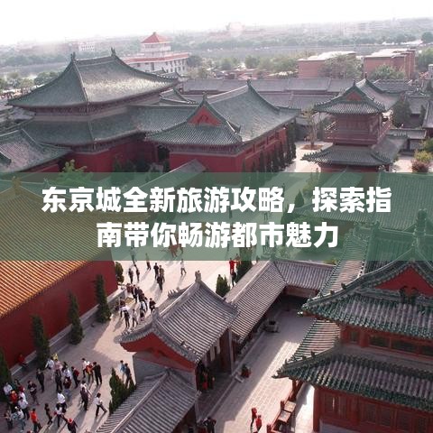 囊萤映雪