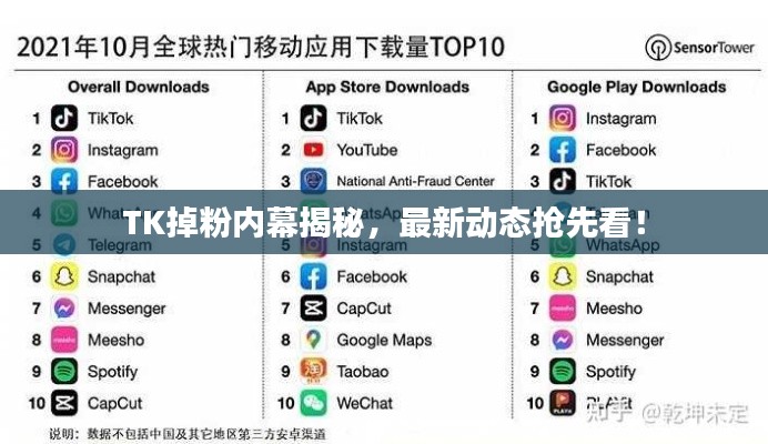 公司介绍 第8页