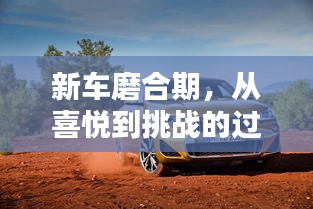 开张圣听