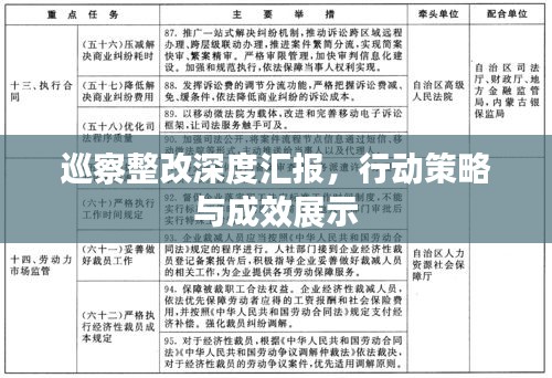 巡察整改深度汇报，行动策略与成效展示