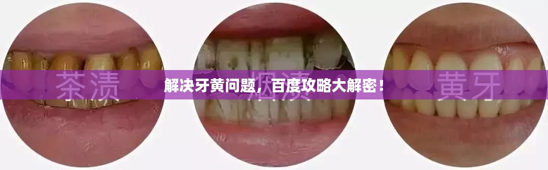 鸟语花香