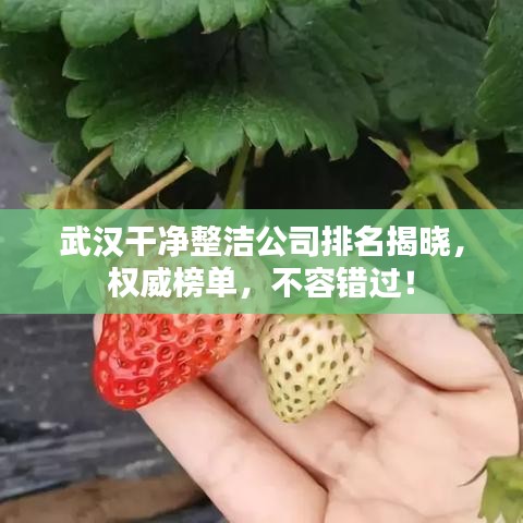 朝乾夕惕