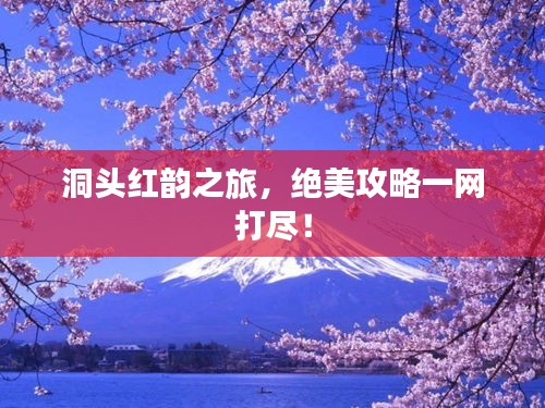 洞头红韵之旅，绝美攻略一网打尽！