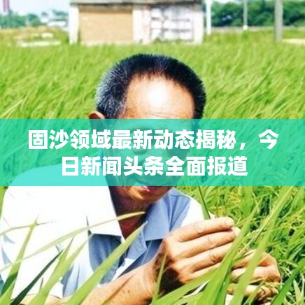 固沙领域最新动态揭秘，今日新闻头条全面报道
