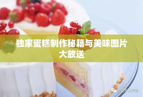 公司介绍 第4页