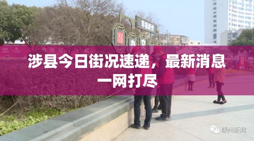 衣无二彩