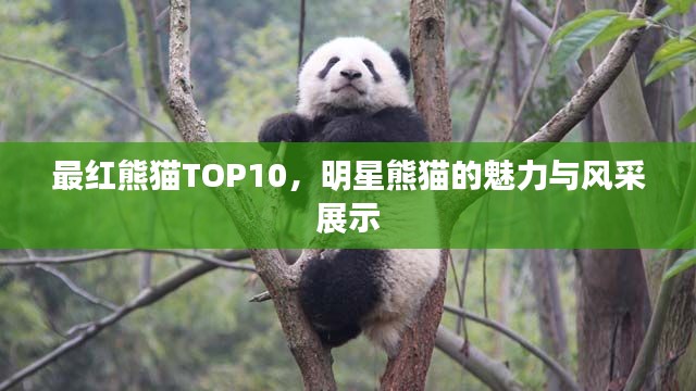 去就之分