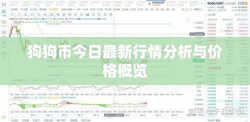 狗狗币今日最新行情分析与价格概览