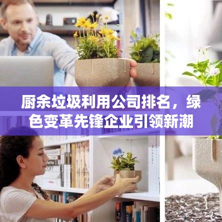 夫荣妻贵