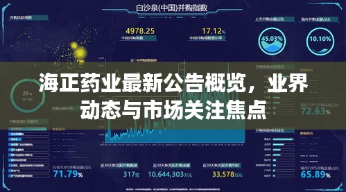 海正药业最新公告概览，业界动态与市场关注焦点