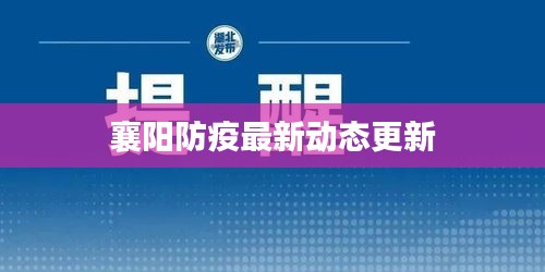 襄阳防疫最新动态更新