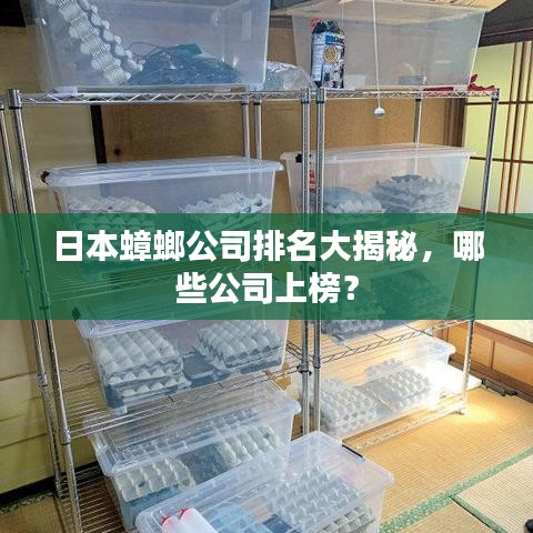 日本蟑螂公司排名大揭秘，哪些公司上榜？