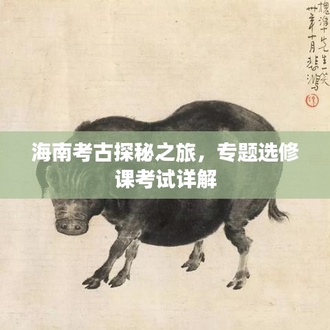 海南考古探秘之旅，专题选修课考试详解