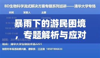 暴雨下的游民困境，专题解析与应对策略