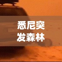 2025年5月16日